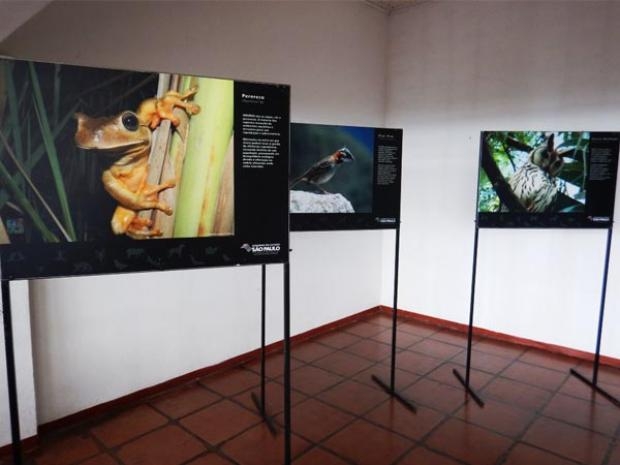 Cantareira recebe exposição da ‘Fauna Urbana’