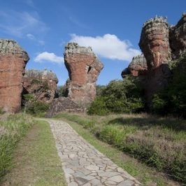 12ª Mostra Internacional do Cinema Negro em São Paulo