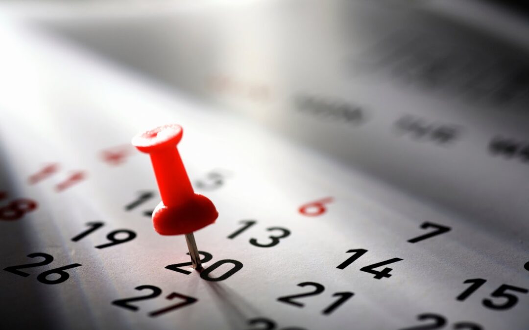 Calendário escolar: confira as datas até o fim do ano letivo