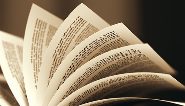 Dia Nacional do Livro reforça importância da leitura na infância