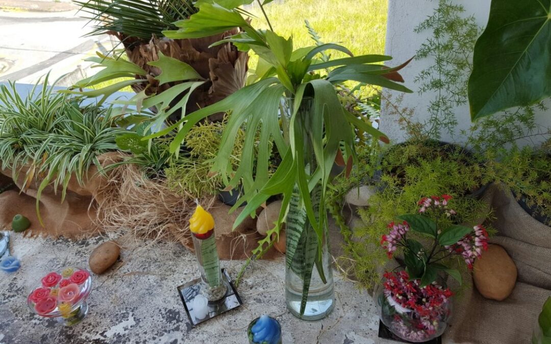 Tietê realiza Jantar Tropical e confraterniza com docentes