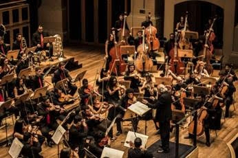 Baccarelli homenageará o Dia da Consciência Negra