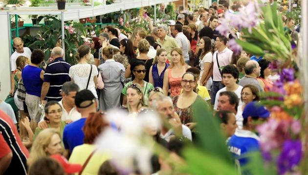Exposição de orquídeas em São José do Rio Preto