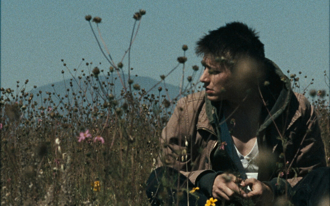 Mostra ‘Cinema Mexicano Contemporâneo’ chega a S.Paulo