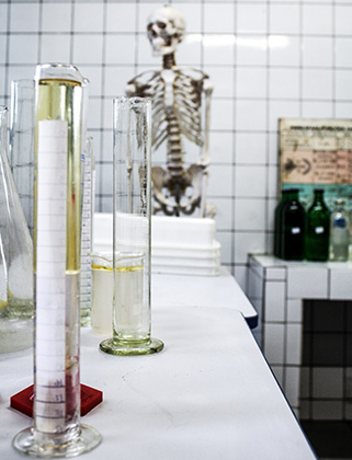 Escola_Alexandre_Von_Humboldt