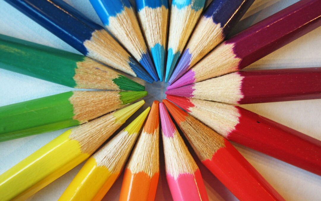 Currículo flexível já influencia escolas