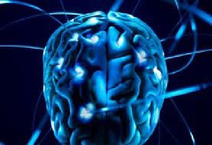 Neurociência em prol do aprendizado é tema de curso