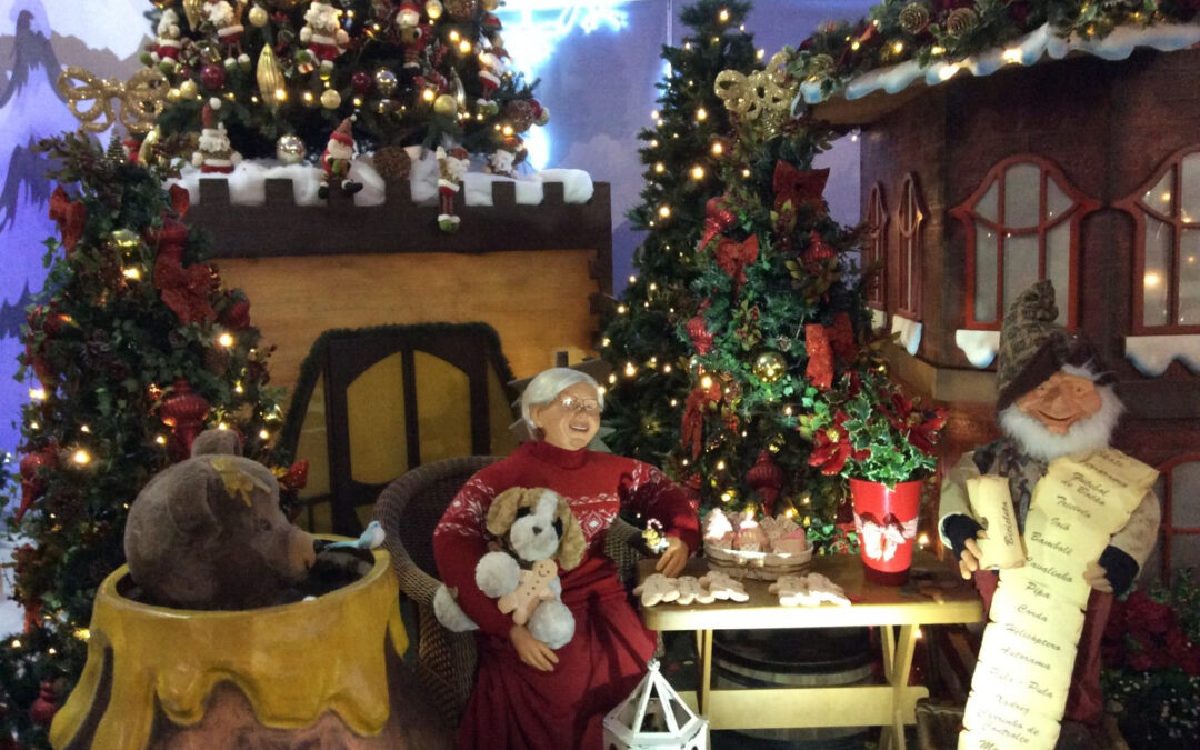 Turismo de Limeira leva grupo para Noeland em Holambra