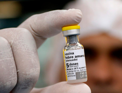 Tudo o que é preciso saber sobre Febre Amarela