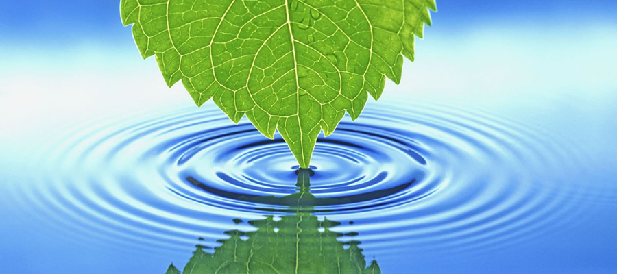 V Conferência Nacional Infantojuvenil pelo Meio Ambiente