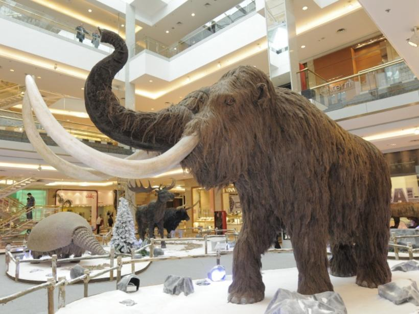 Exposição gratuita Direto da Era do Gelo até 15 de julho