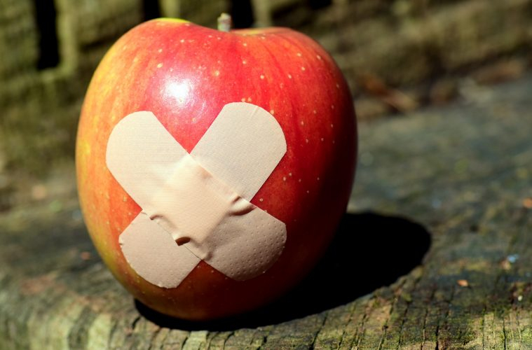 Quanto menor escolaridade dos pais, maior interesse no magistério