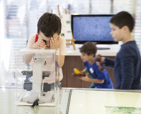 Passeio que agrada adultos e crianças: Instituto Butantan