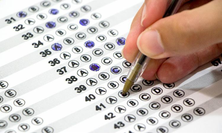 Mairiporã: inscrições até 6/6 com vagas para educadores