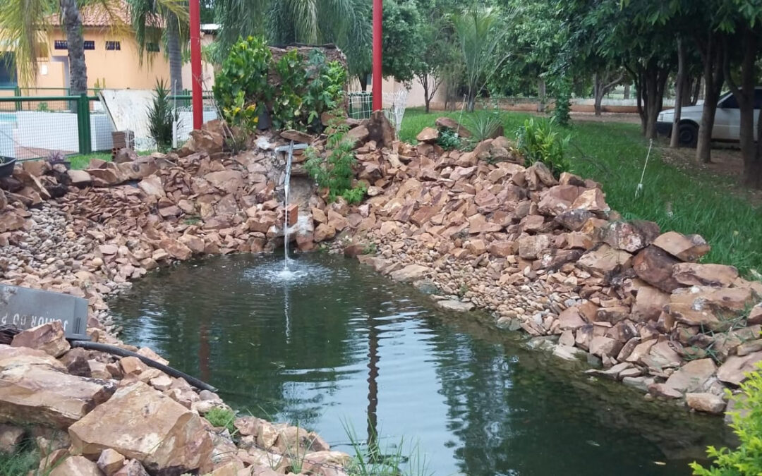 Colônia de Férias: Panorama