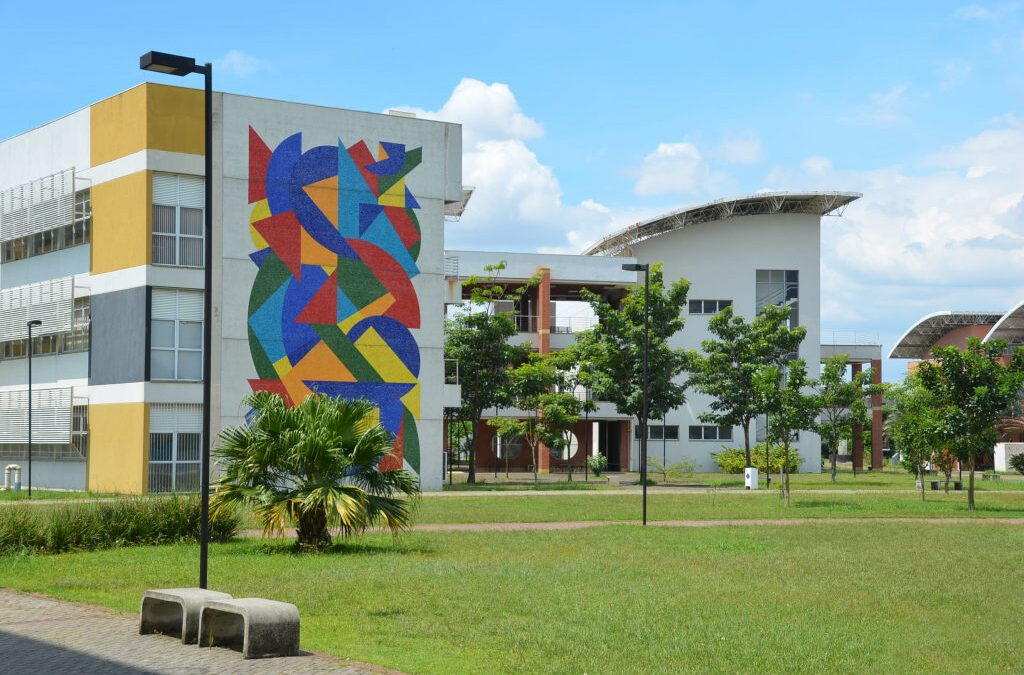 USP prepara professores para o contexto internacional