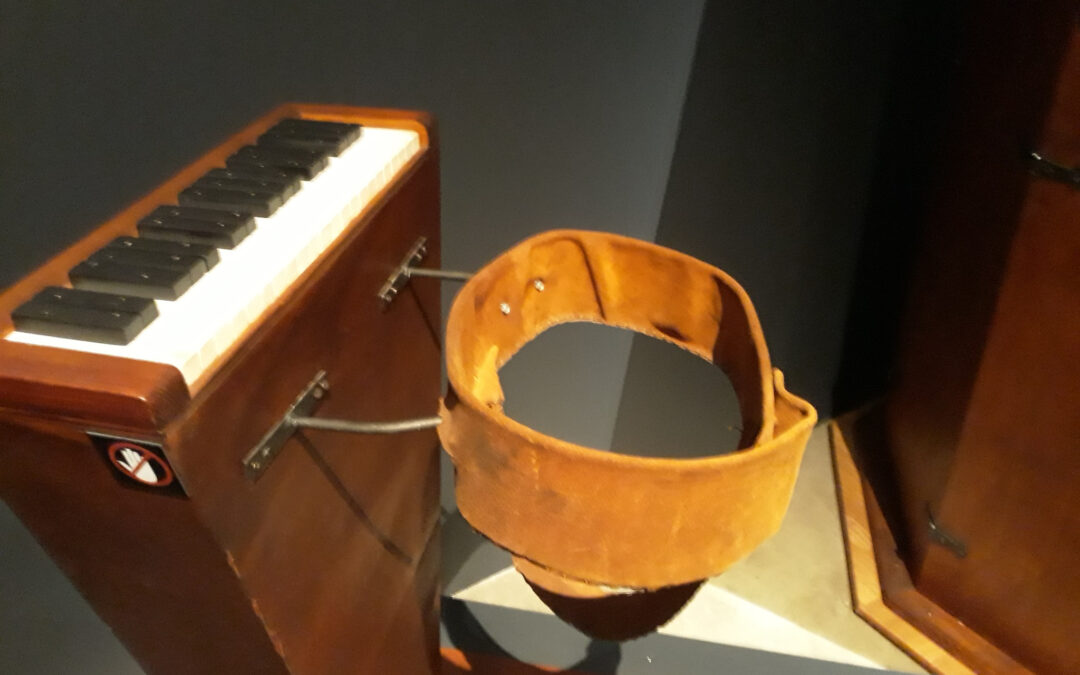 Professores de Santos visitam exposição de Leonardo da Vinci