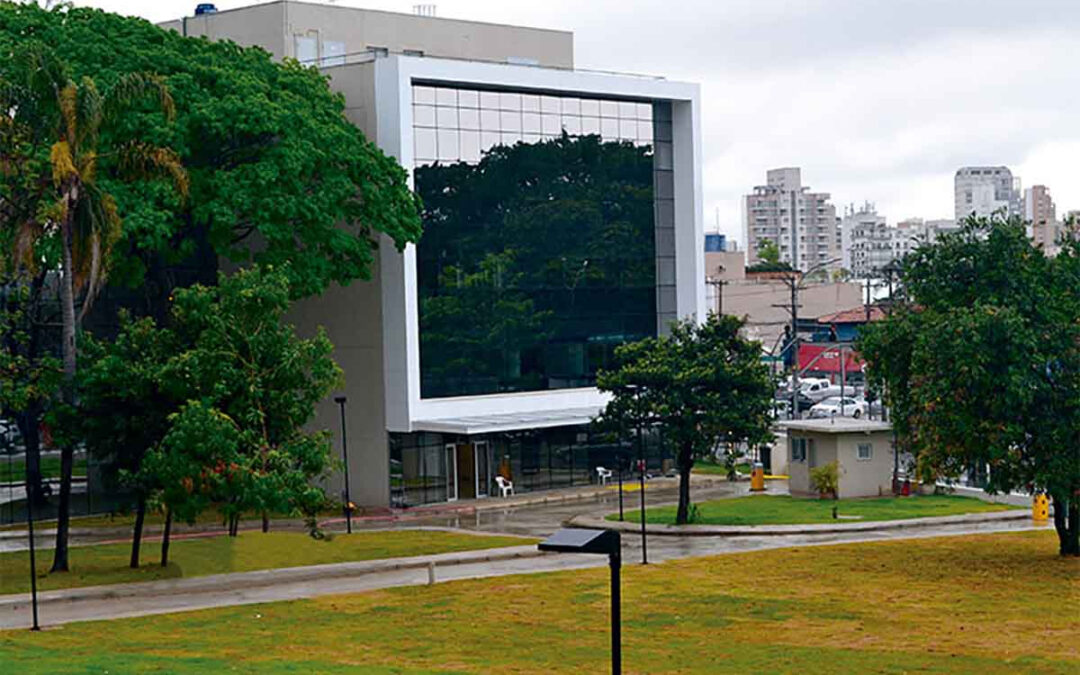 Participe do tuitaço contra o PL 529/20 nesta quarta-feira