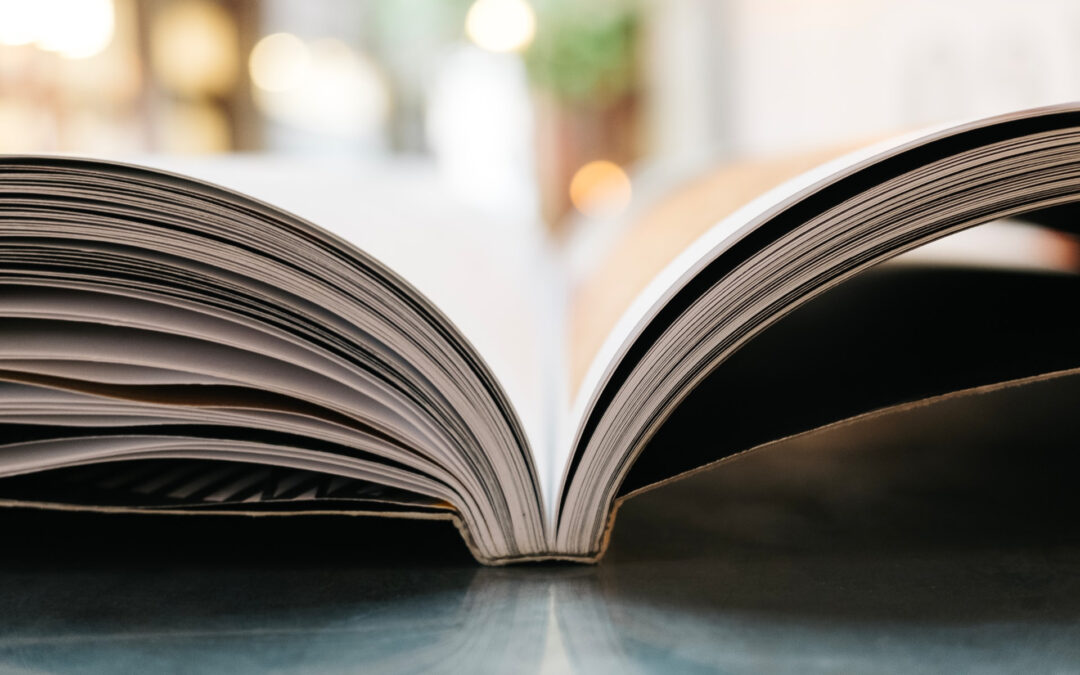 Três indicações para quem gosta de uma boa leitura