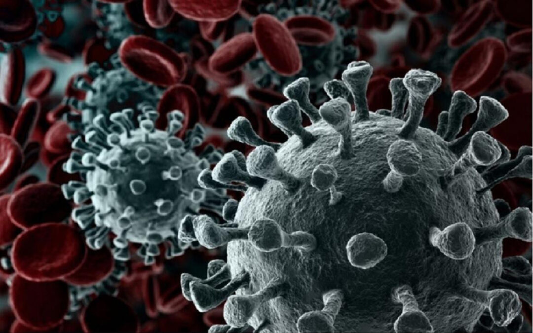 Pandemia: estados vetam festas de fim de ano e limitam bebidas