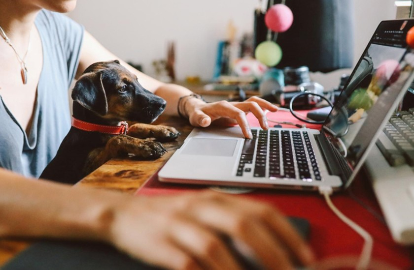Material de apoio aos professores da rede municipal de SP