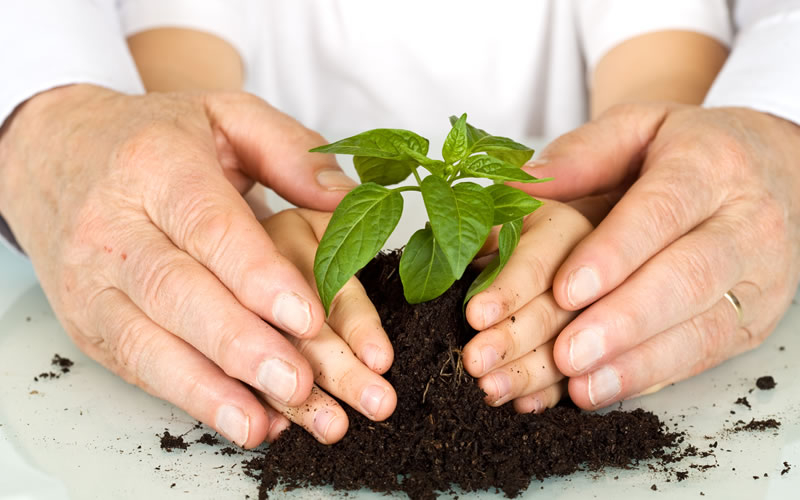 Educação Ambiental aos docentes do fundamental estadual de S.Paulo