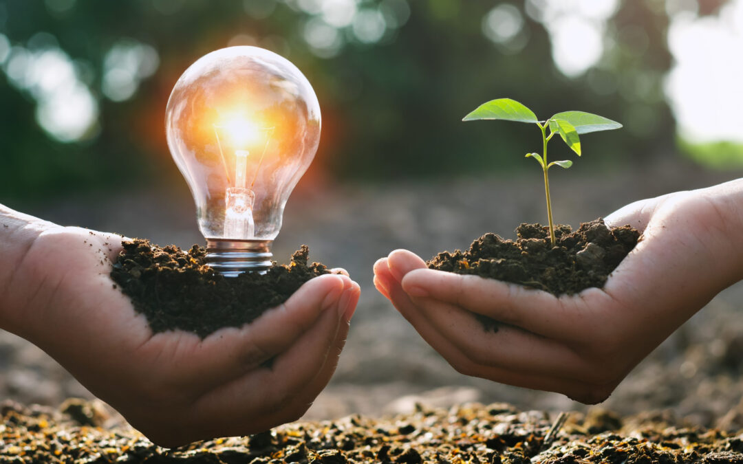 Como abordar o uso racional da energia em um contexto educativo?