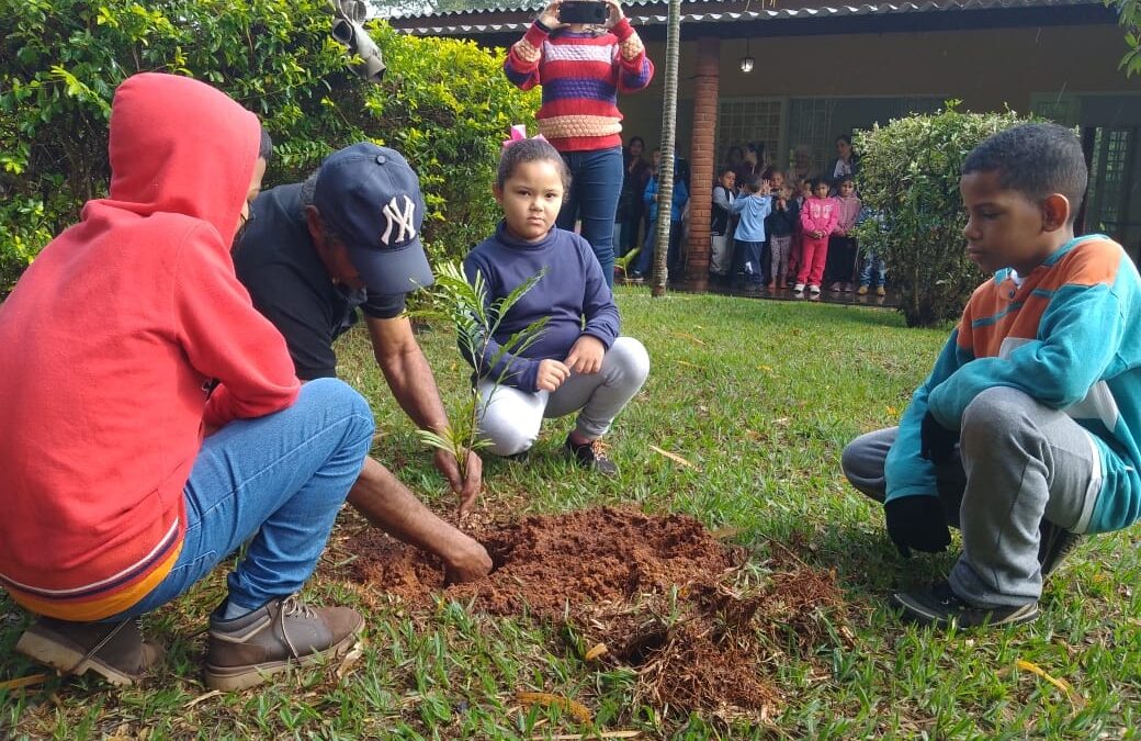 Dia da Árvore: CPP Assis faz plantio com professores e alunos