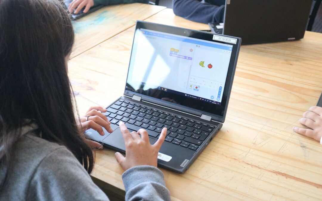 25% das escolas públicas não possuem acesso à internet