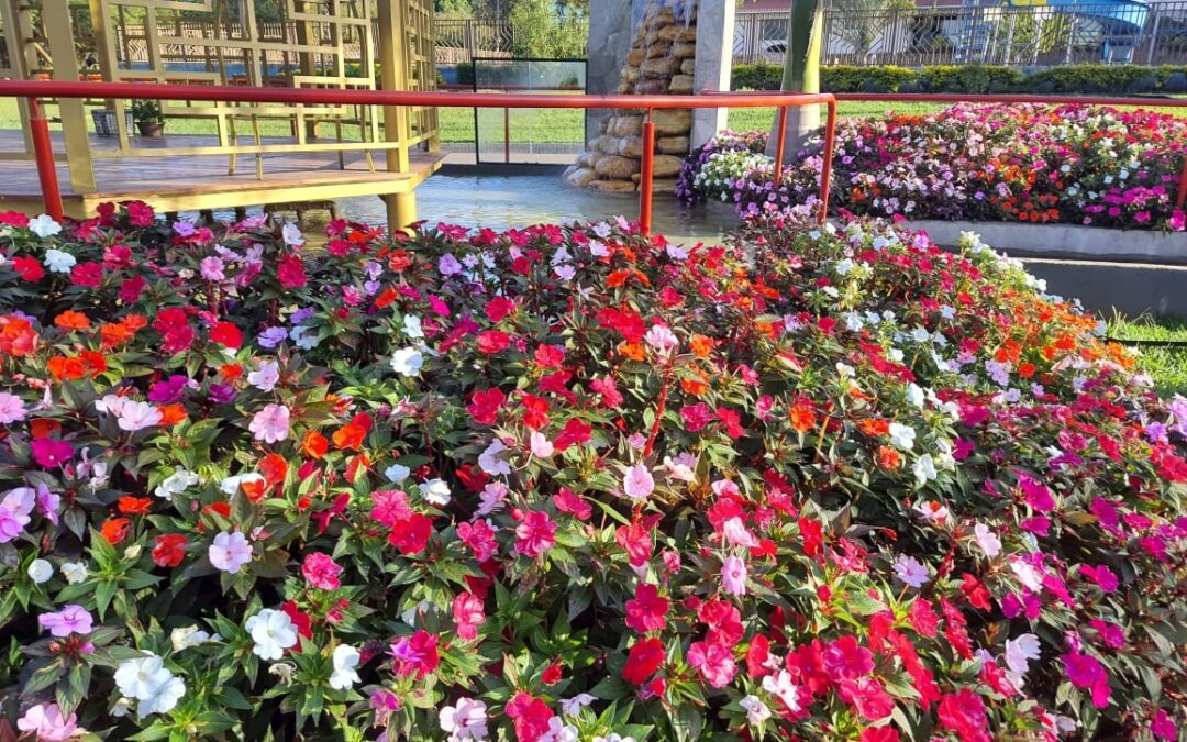 Professor, venha conhecer os alojamentos do CPP!