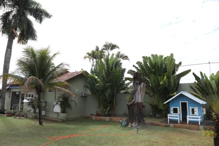 BEBEDOURO 10 768x512