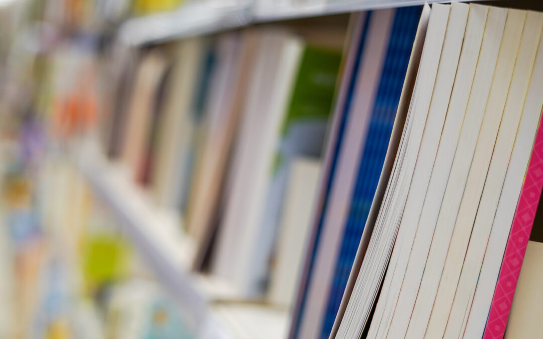 Educação da Educação